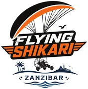 Flying Shikari